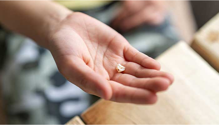 歯が割れる・つめものや、かぶせものが割れる